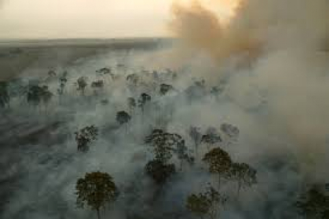 QUEIMADAS AMAZ&Ocirc;NIA
