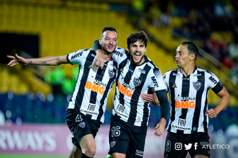 Galo 