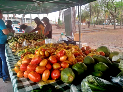 Org&acirc;nicos feira.jpeg