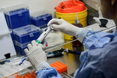coronavirus covid