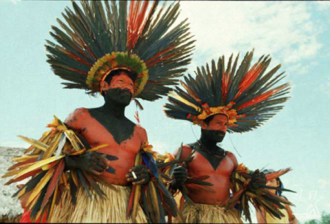 bororo_14.jpg