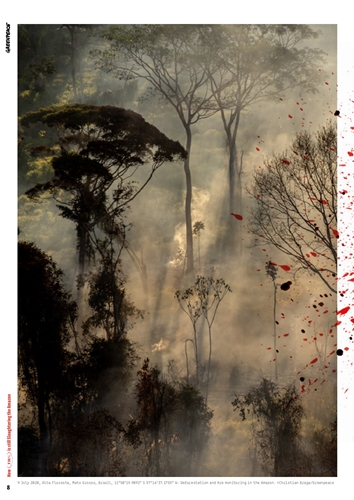 60e2cd00-greenpeace_stillslaughtering_pages-1_page-0001 (1).jpg