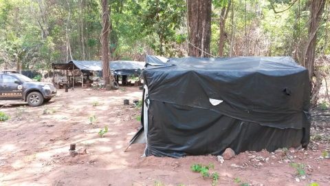 policia federal areas indigenas 1.jpg