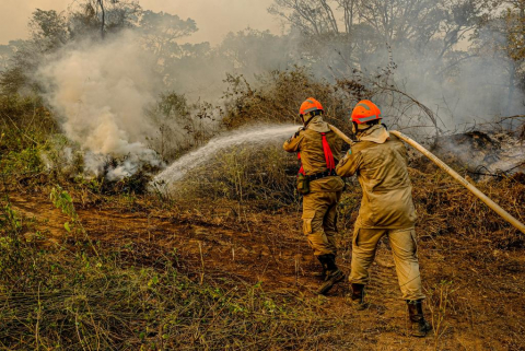 fogo no pantanal 2.jpg