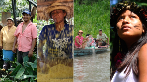 page amaz&ocirc;nia.jpg