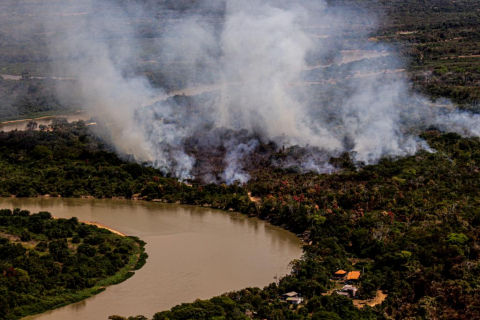 fogo no pantanal 1.jpg