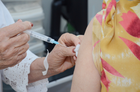 vacina&ccedil;&atilde;o contra gripe