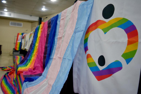 Bandeiras LGBT - Combate à Homofobia.jpg