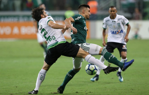 Palmeiras e Am&eacute;rica 