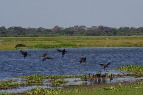 Ba&iacute;a de Chacoror&eacute;.jpg
