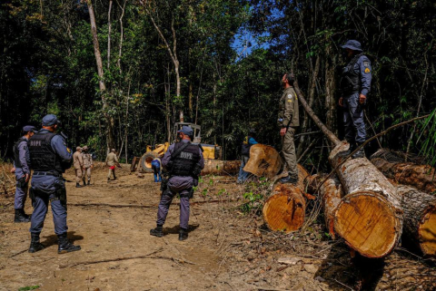 OPERAÇÃO amazonia pm.jpg