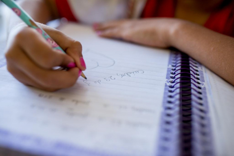 escola aluno crian&ccedil;a educacao.jpg