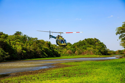 pantanal_-MEV_-5183.jpg