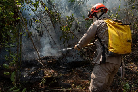 Bombeiro combate queimada