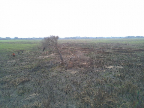 Per&iacute;cia de inc&ecirc;ndio.jpg