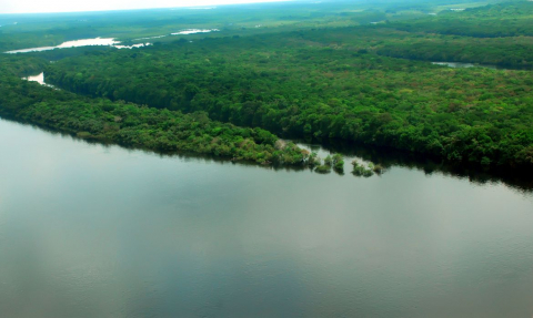 AMAZONIA 