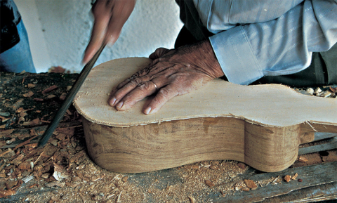 Viola de cocho