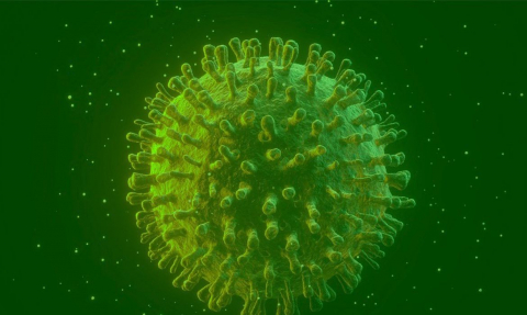 coronavirus