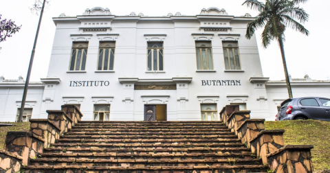 butantan.jpg