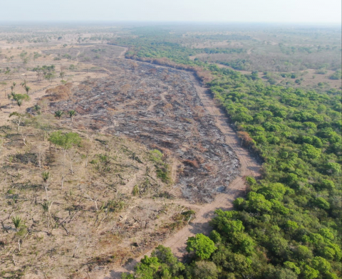 Opera&ccedil;&atilde;o Resili&ecirc;ncia Pantanal.jpeg