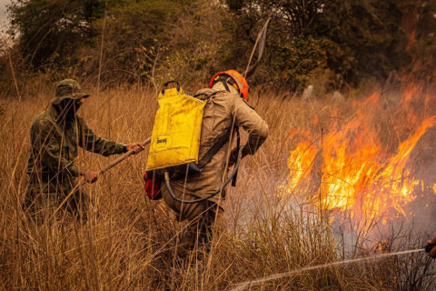 Bombeiros combatem inc&ecirc;ndio