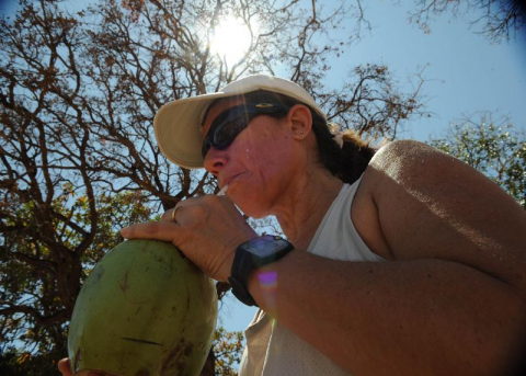 Bebendo &aacute;gua de coco