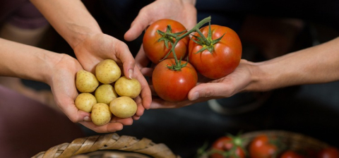 tomate e batata
