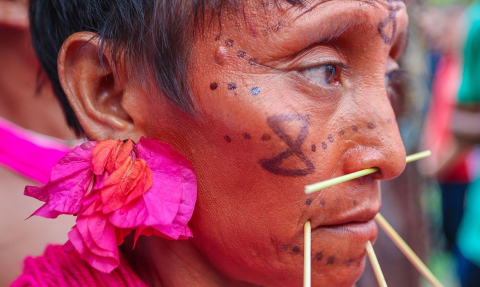 ind&iacute;gena Yanomami
