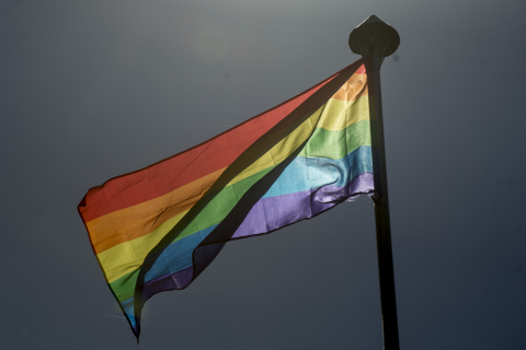bandeira lgbt.jpg