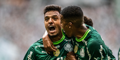Palmeiras e Água Santa