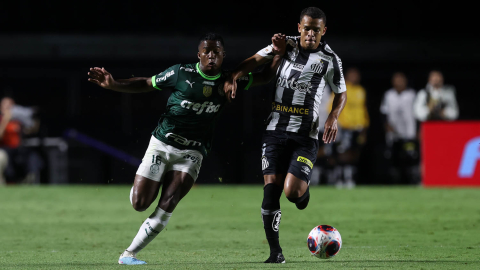 Palmeiras e Santos 