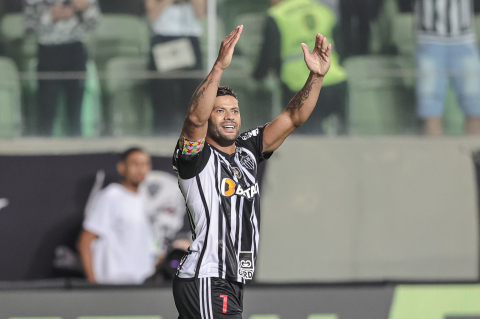 Galo 