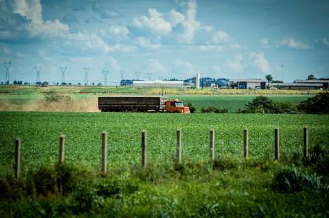 soja, caminhao, plantacao, agronecocio, agricultura