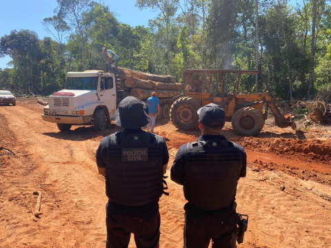 PJC CRIME AMBIENTAL MADEIREIRA.jpg