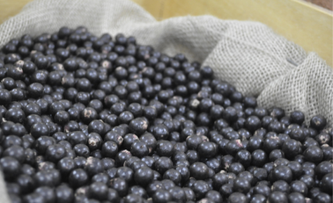 a&ccedil;a&iacute;