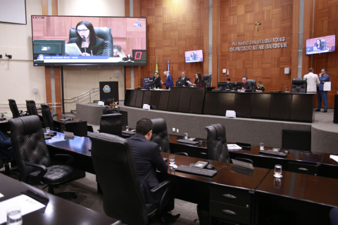 Assembleia sess&atilde;o