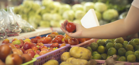 cesta basica tomate mercado