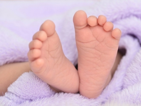bebe