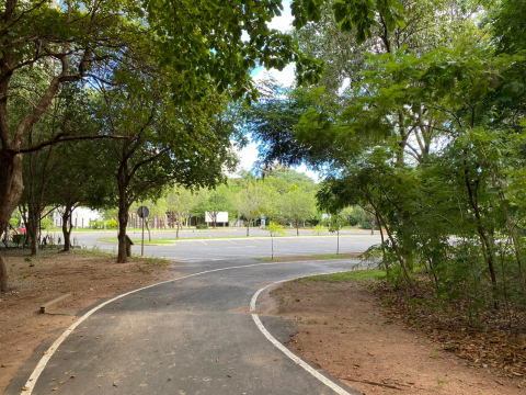 Parque M&atilde;e Bonif&aacute;cia