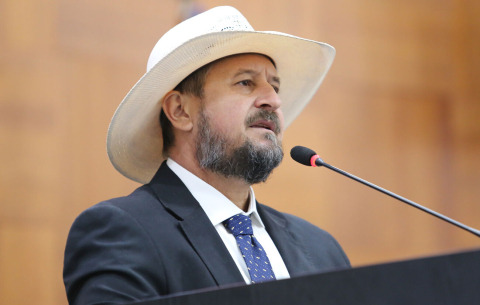 Gilberto Cattani
