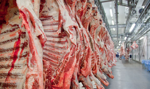 industria carne bovina.jpeg