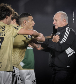 Galo 