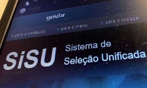 Sisu