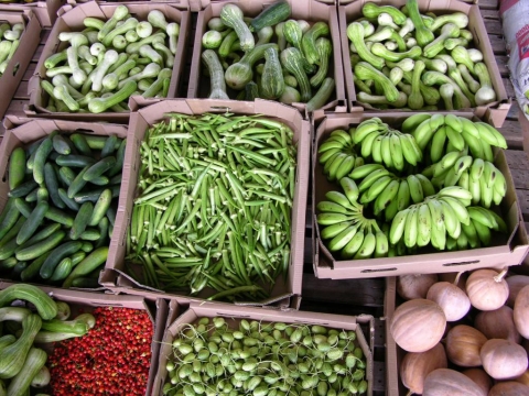 VERDURAS AGRICULTURA FAMILIAR