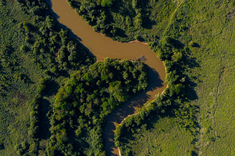 Pantanal Mato-grossense