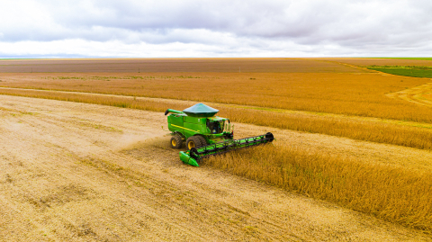 soja agricultura safra agronegocio planta&ccedil;&atilde;o