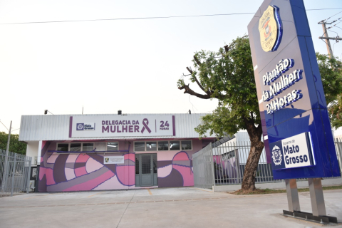 Delegacia 24 horas Planta?o da Mulher.jpeg
